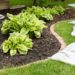How to make your lawn & landscape look it’s best?